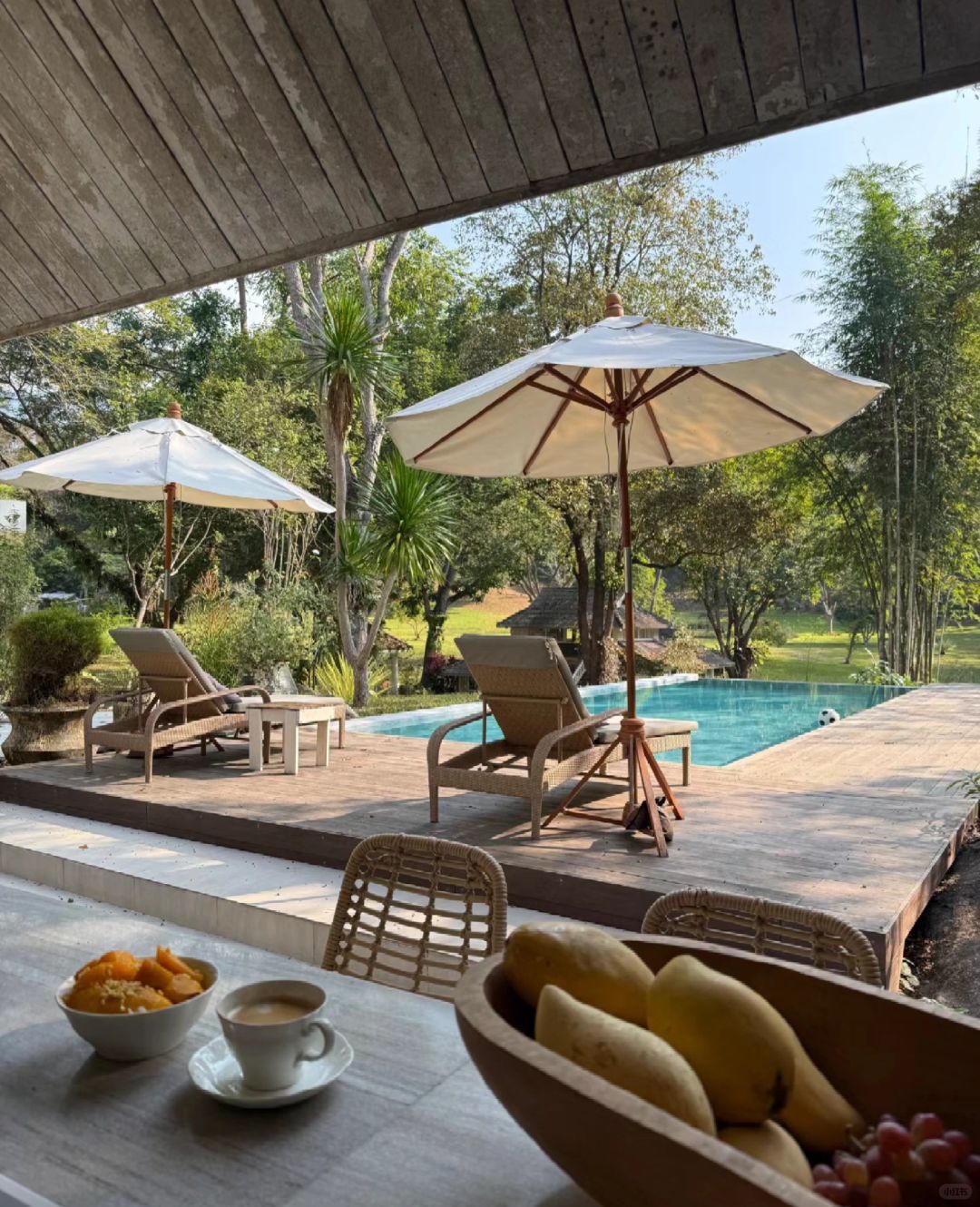 Chiang Mai-Chiang Mai Hotel Recommendations - Relax in the tranquility and luxury of the Northern Thai Rose