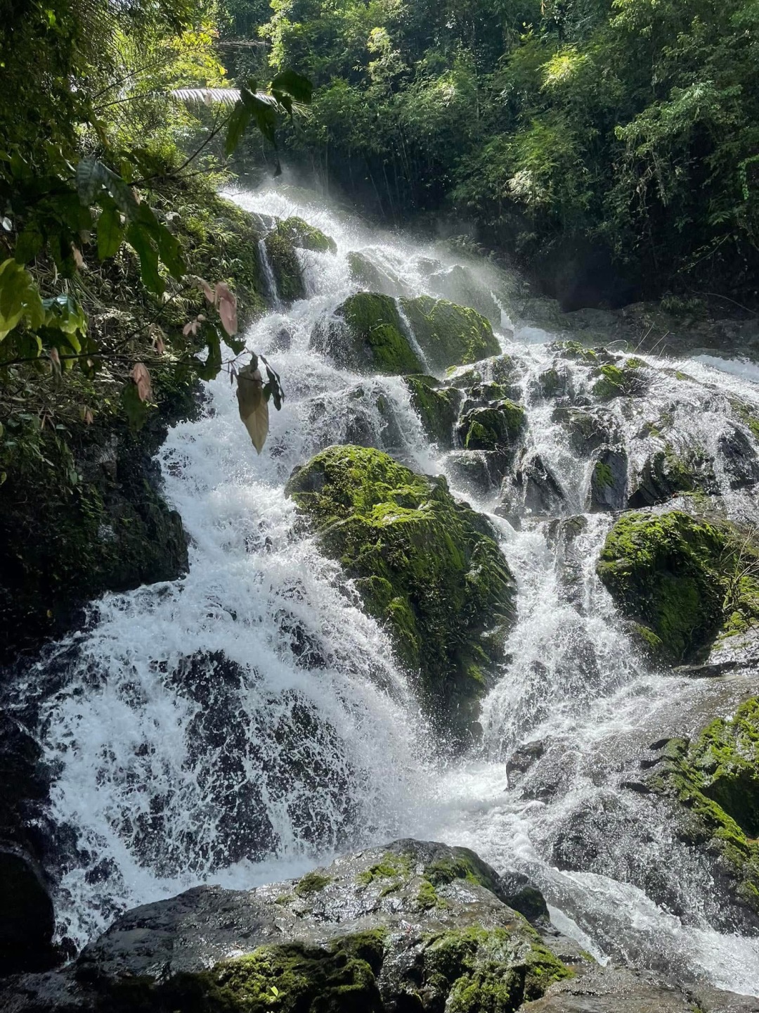 Phuket-Khao Sok National Park Niche Travel Attractions