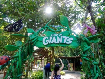 2024 Singapore Zoo Day and Night Tour | Ticket Prices, Transportation, Attractions, Official Website, Breakfast