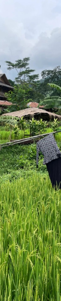 Hiking at Sentul Rice Field Waterfall in Jakarta, with traditional costumes hanging on bamboo poles