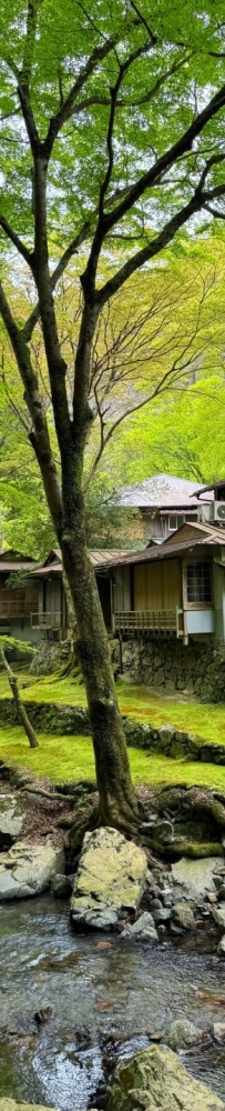 Yumen Park full of greenery,The Katsuo Daruma Temple are worth visiting.