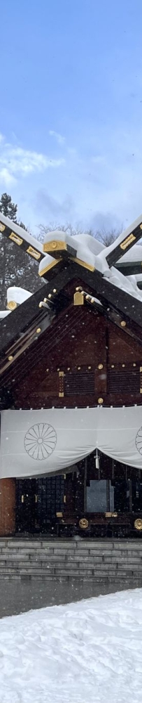 Hokkaido Jingu Shrine a hundred times more beautiful than the Biei Christmas tree!Free of  hot tea!