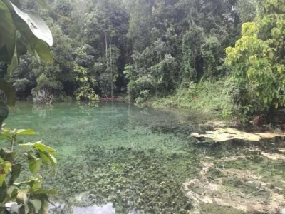 Krabi Hot Spring Waterfall, undeveloped pristine environment