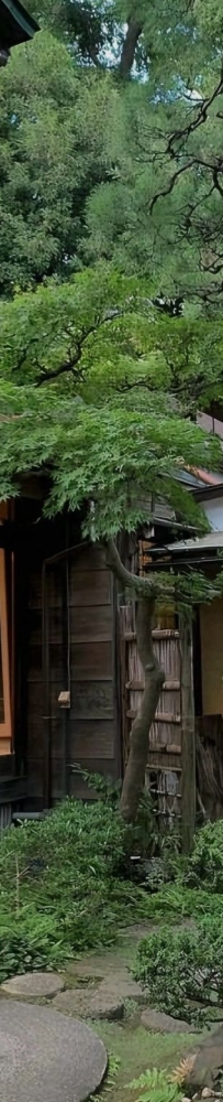 4 homes Hidden in the downtown area:Kosoan Jiyugaoka,ぼうず'n coffee,NEZU CAFE and Les Grands Arbres Minami Azabu