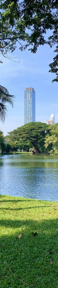 Lumpini Park in Bangkok, a model of harmony between people, nature and the city