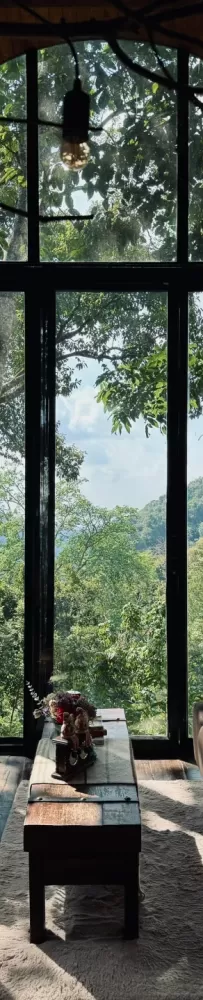 I stayed at Chiang Mai Glass Tree House Hotel for four nights without going out.