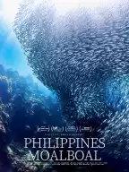 Philippines ink treasure, you can watch the sardine storm even if you can't swim