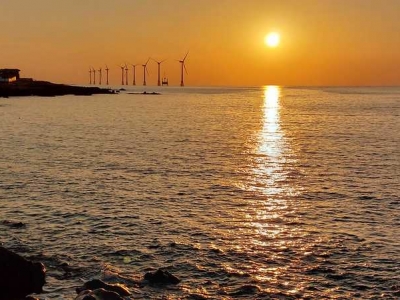 Watching the sunset at the cactus community in Wolryeong-ri, Jeju Island, South Korea