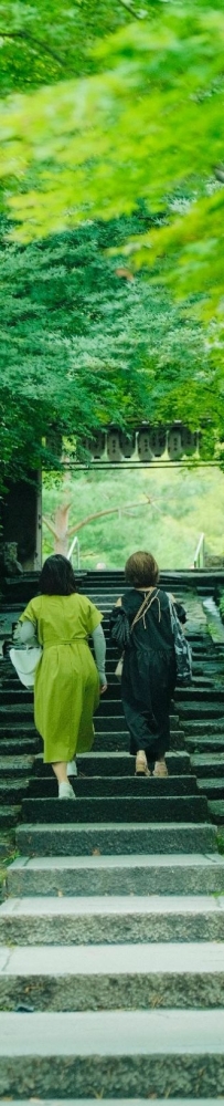 Kyoto Kodaiji Temple and Daiun-in Temple, a maple leaf viewing park known to locals