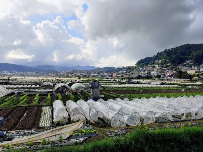 Recently traveled to the summer capital of the Philippines. Baguio City.