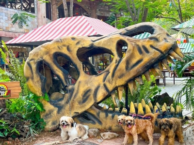 The Dinosaurs Island Clark in the Philippines, experience the feeling of Jurassic Park