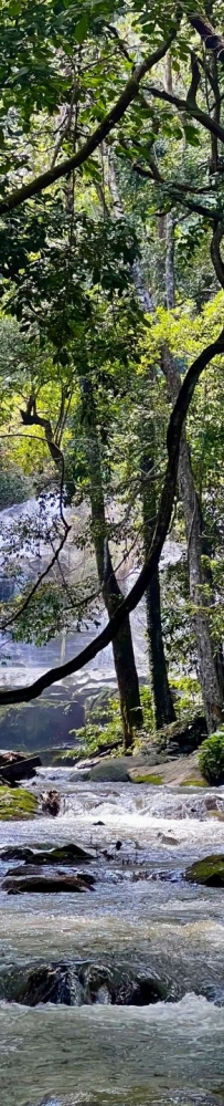 Chiang Mai Doi Inthanon National Park, passing streams, waterfalls and rice fields