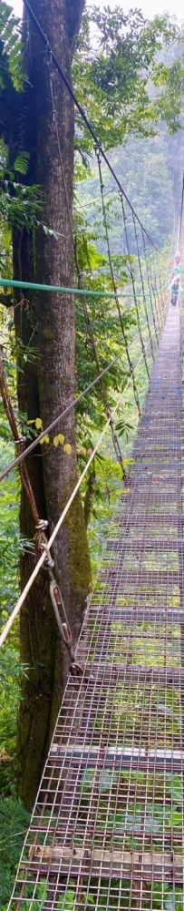 Suspension bridge?, outdoor hiking in the suburbs of Jakarta, through the rainforest