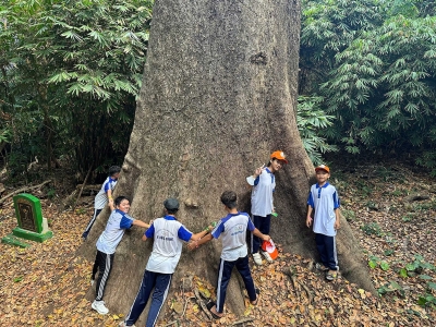 A trekking trip in Con Dao National Park to explore the green forests of Co Ong - Dat Tham