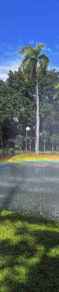 Chiang Mai Park, feel the coolness of Thailand's summer and the rainbow formed by the fountain