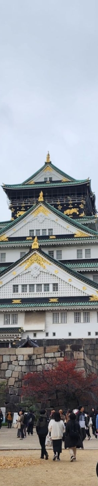 Guide to visiting Osaka Castle Park: You can't see maple leaves or cherry blossoms here