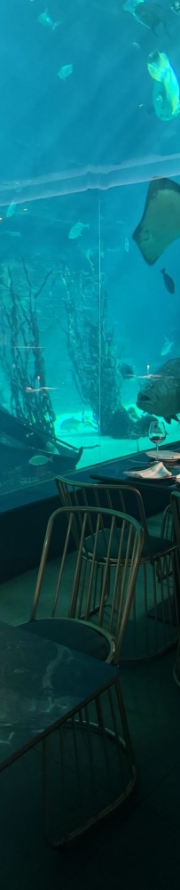 Water restaurant adventure, super atmospheric underwater restaurant in Cebu, Philippines