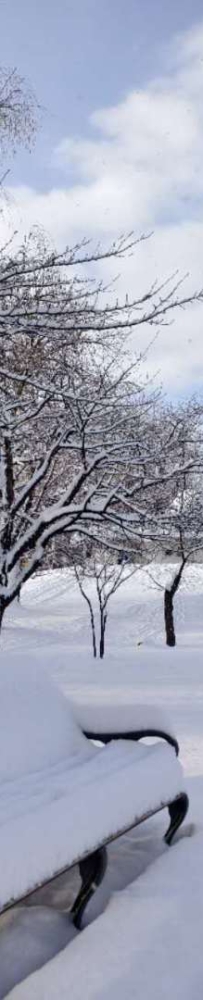 Sapporo Nakajima Park, making beautiful snowmen and many people walking their dogs