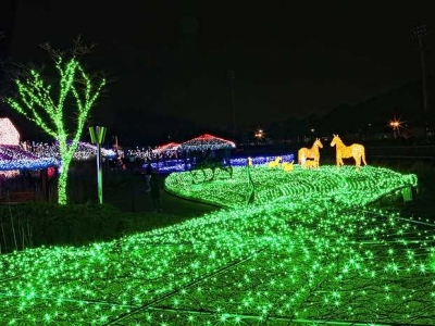 Busan Illumination Theme Park, the largest light theme park in Korea