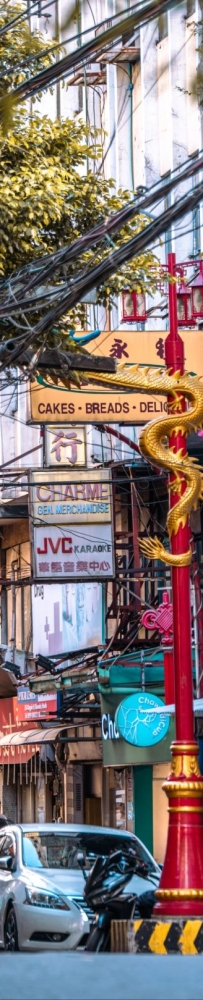 Visiting Chinatown in Manila, Philippines. Noisy, messy, lively, crowded. Very lively