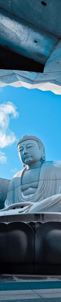 The Great Buddha of Sapporo(头大仏), whose body is hidden under a man-made hill