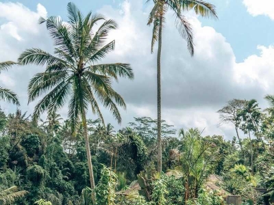 Ubud Infinity Pool in Bali | Enjoy it from as low as $60+ per person per night