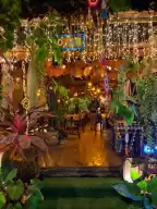 Thailandia Bar n Restaurant🌳, a nature-style restaurant located in AoNang Bar Street