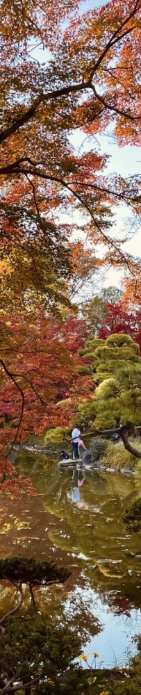 Hibiya Park with beautiful ginkgo and red leaves