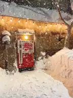 Hokkaido Bar Gyu, a mysterious bar hidden behind a vending machine