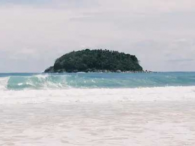 Phuket's sea breeze heat wave hits?️, drink a sip of cold and delicious coconut water