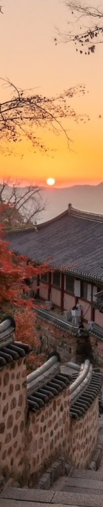 South Korea Busan Beomeosa Temple, autumn maple leaves are like nature's palette