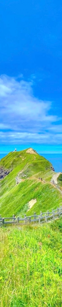 Hokkaido's summer resort is full of greenery, colorful flowers, and beautiful sea views.