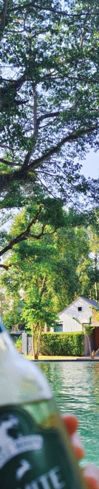 Love to die this forest garden hotel in Chiang Mai Mountain