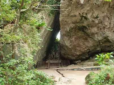 Seiza Utaki: Experience the prayer culture in the primeval forest of Okinawa