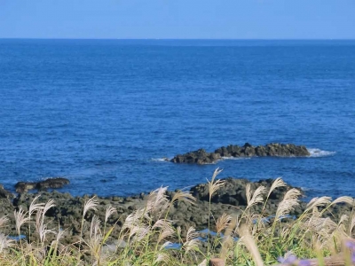 Come with me to Jeju Island to see the sea. The blue of the sea is very soothing.