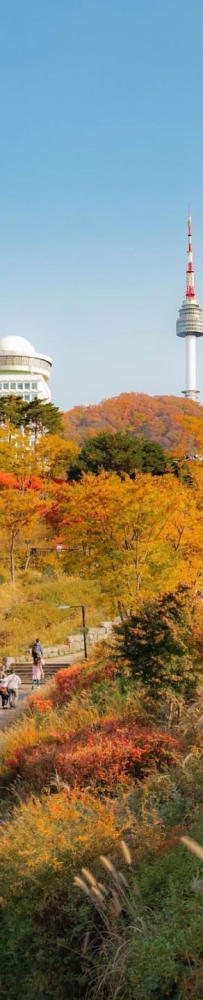 Seoul Namsan Park Baekbeom Square, ?enjoy the most beautiful autumn in Korea