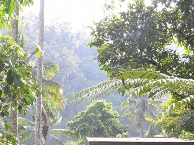 Café Gazebo Hotel Restaurant, enjoy breakfast in the sky pavilion under the morning sun