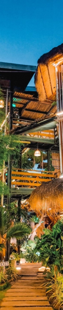 MIST, popular restaurant in Bohol, has a long queue and is surrounded by forest greenery