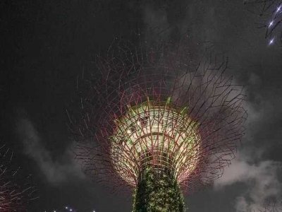 Free check-in at Singapore's Supertree Grove, a wonderland resembling Avatar