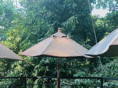 Jungle de cafe in Chiang Mai is cliff and waterfall themed cafe with a jungle jump next to it