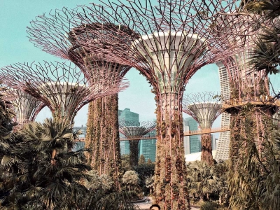 Visit Gardens👑 by the Bay in Singapore and learn where to take great photos