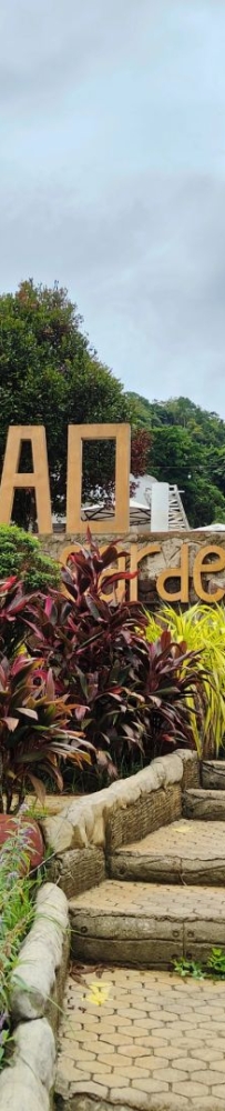 Visit Sirao Garden in Cebu Mountain on weekends. ?The ticket is a small red flower stamp