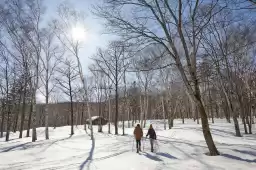 Travel guide to Hokkaido, Japan, check in the beautiful scenery of Hokkaido in four seasons