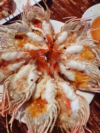 Kung Yim Shop Chiang Mai Santitham Branch, big prawns as big as your palm