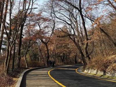 Namsan Park in Seoul, where you can overlook the beautiful scenery of the surrounding area from the top of the mountain