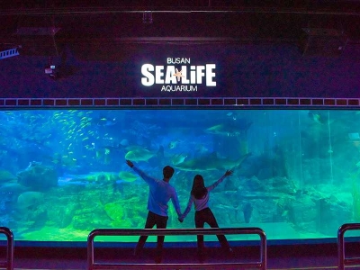 SEA LIFE, Busan Aquarium in South Korea, brings endless excitement to children full of childlike innocence