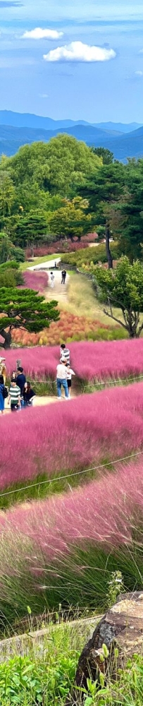 Gasan Suphia Park in Busan (가산 수피아), a dating spot for couples and lovers in Korea