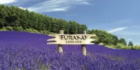 Not just lavender fields! 20 recommended sightseeing spots in Furano, Hokkaido