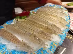 Jakarta CHUAN FU HOT POT hotpot restaurant, mantis shrimp bigger than the palm