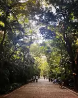 Parque de Aroseiros, a riverside urban forest park, is a great place to relax